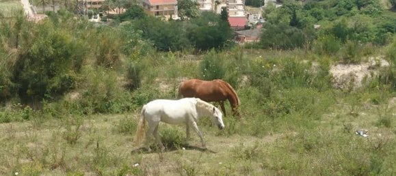 5-salle Penthouse à Messina, Italy No. 253787 16