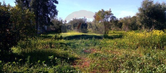 Terreno en Loule, Portugal 7400 m² No. 37442 5