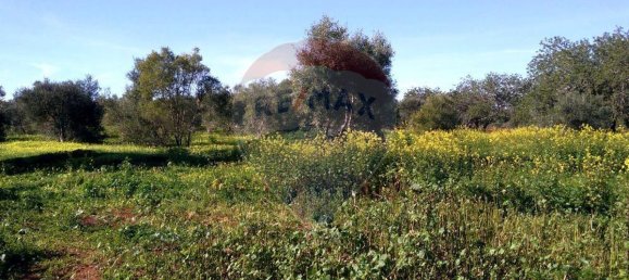 Terreno en Loule, Portugal 7400 m² No. 37442 2