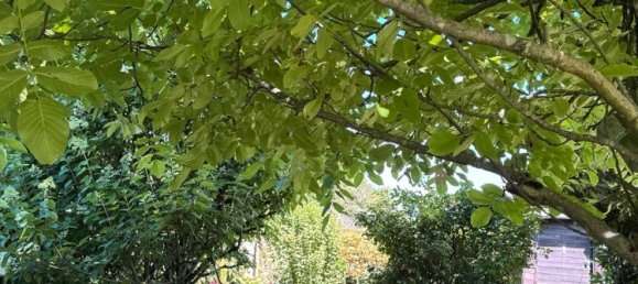 Land in Mettmann, Germany No. 340184 2