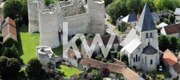 2 bedrooms House in Pithiviers-le-Vieil, France No. 61256 27