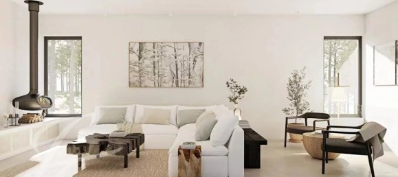 4 bedrooms Villa in Alcacer do Sal, Portugal No. 115696 4