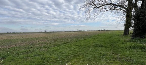  قطعة أرض في Boara Pisani, Italy 63907متر مربع رقم 275480 3