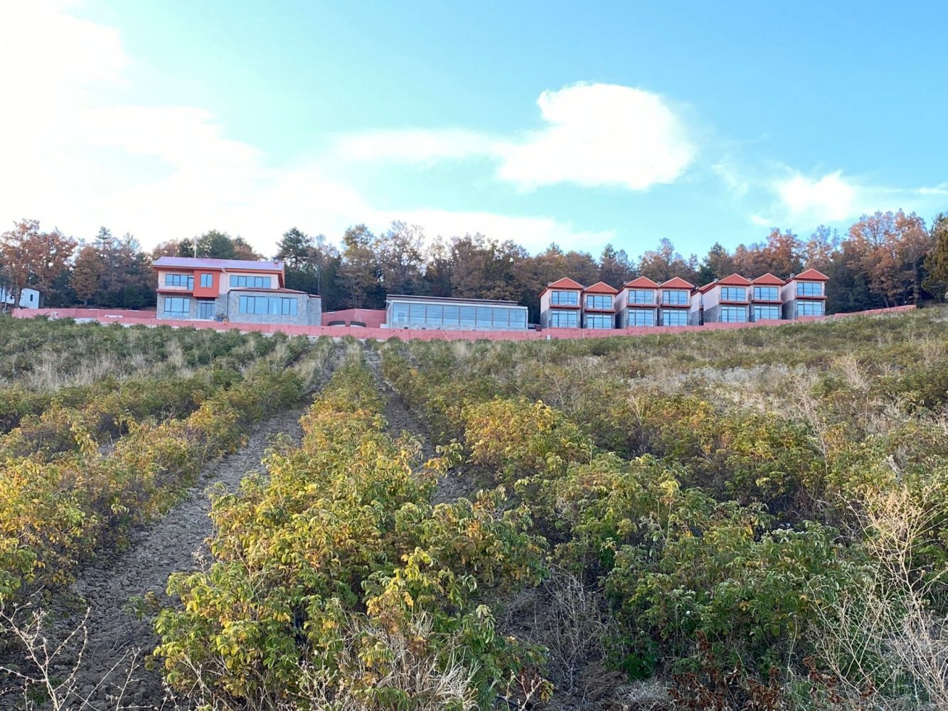 Propiedad comercial de 10 dormitorios en Isparta, Turkey No. 43054