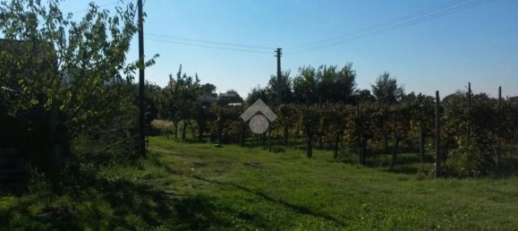 Estúdio em Albettone, Italy N.º 175704 9