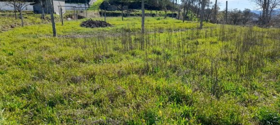  Land in Amarante, Portugal No. 57442 19