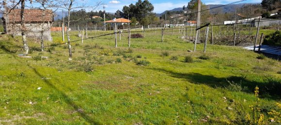  Land in Amarante, Portugal No. 57442 9