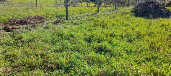  Land in Amarante, Portugal No. 57442 3