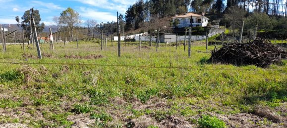  Land in Amarante, Portugal No. 57442 5