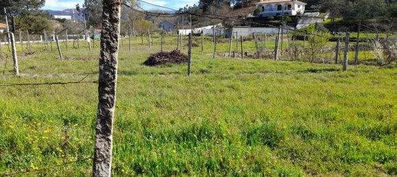  Land in Amarante, Portugal No. 57442 13