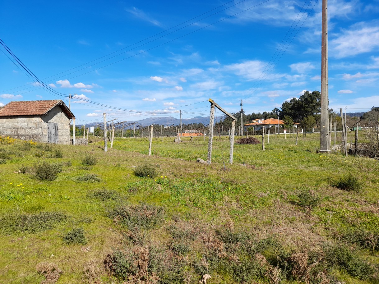  Land in Amarante, Portugal No. 57442