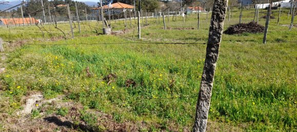  Land in Amarante, Portugal No. 57442 14