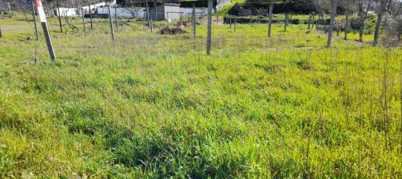  Land in Amarante, Portugal No. 57442 18