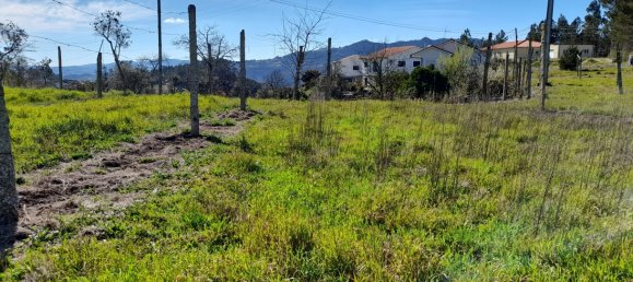  Land in Amarante, Portugal No. 57442 20