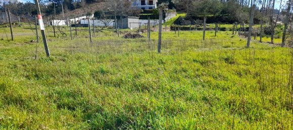  Land in Amarante, Portugal No. 57442 17