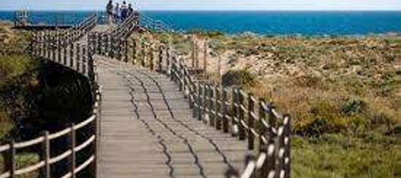 3 غرف نوم فيلا في Guia, Portugal رقم 25672 32