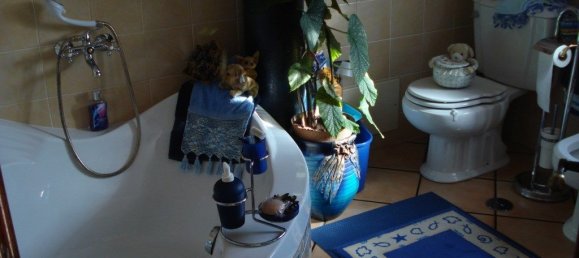 4 Schlafzimmer Haus in Faro, Portugal, Nr. 64814 18