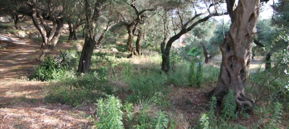 145m² Townhouse in Corfu, Greece No. 6183 8