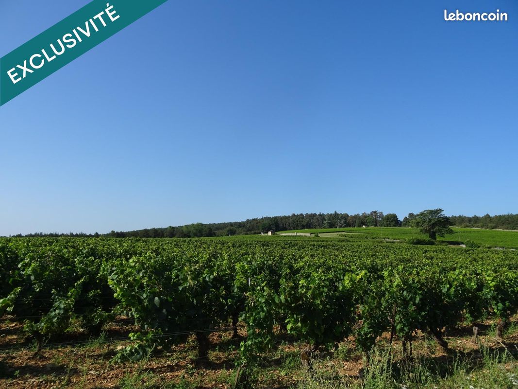 2800m² Land in Chagny, France No. 111648