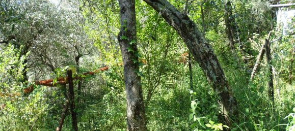 6غرفة منزل في Sestri Levante, Italy رقم 188211 26