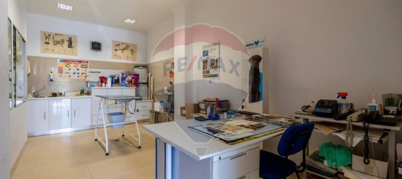  عقار تجاري في Alenquer, Portugal 171متر مربع رقم 63261 7