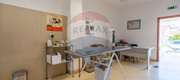  عقار تجاري في Alenquer, Portugal 171متر مربع رقم 63261 5