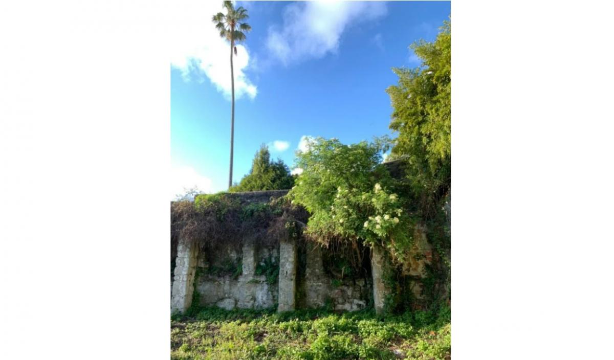  Land in Porto, Portugal No. 9213