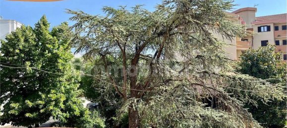 8 غرف نوم فيلا في Castrovillari, Italy رقم 80052 19