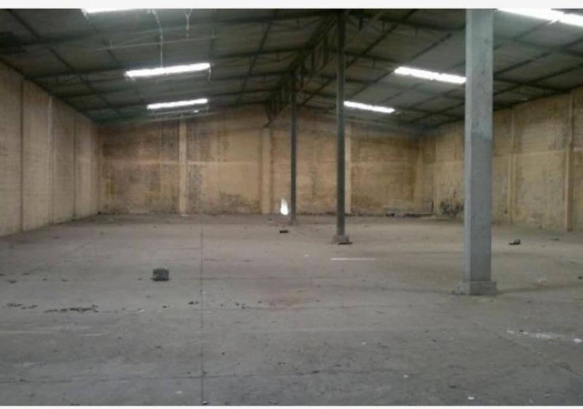 Propriété commerciale à Veracruz, Mexico No. 201785