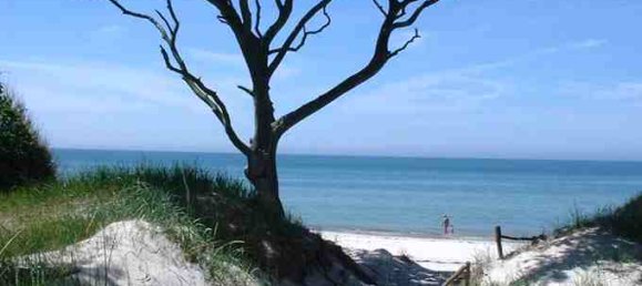 3 rooms Apartment in Vorpommern-Rugen, Germany No. 292732 12