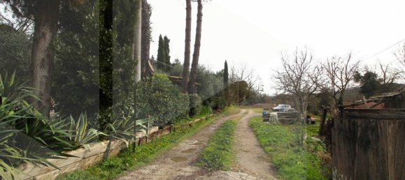 3غرفة شقة في Montopoli in Val d'Arno, Italy رقم 21978 19