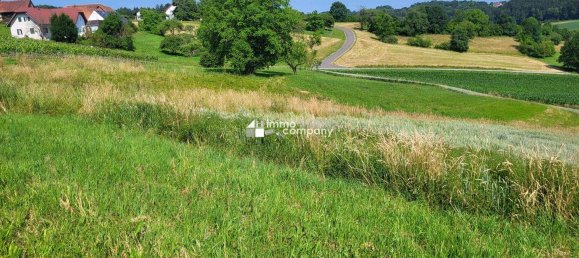 Grundstück in Kirchberg an der Raab, Austria, Nr. 146882 2