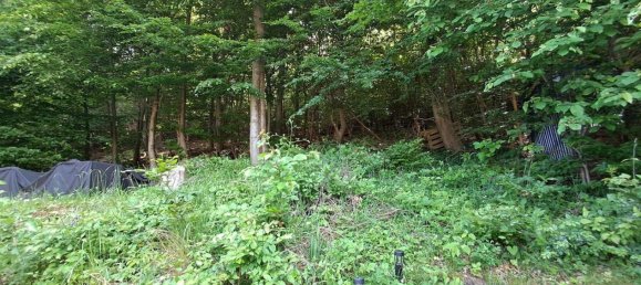 7-salle Maison de ville à Kaltenleutgeben, Austria No. 148269 22