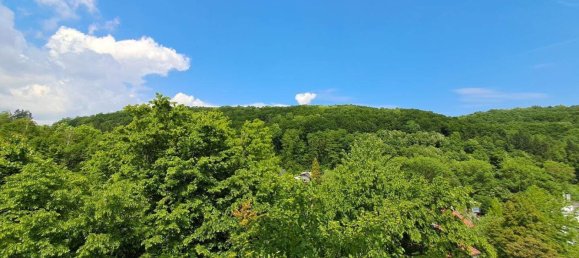 7-salle Maison de ville à Kaltenleutgeben, Austria No. 148269 20