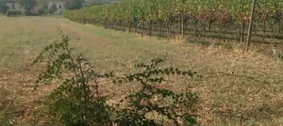 Terreno en Albinea, Italy 1000 m² No. 175932 3