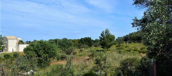 12000m² Hotel in Corfu, Greece No. 4951 10