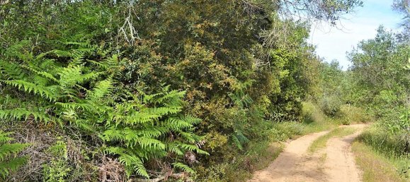 12000m² Hotel in Corfu, Greece No. 4951 2