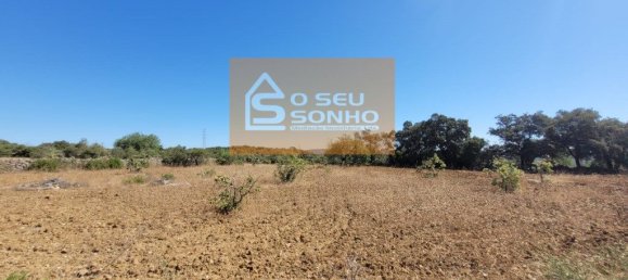 Земельный участок 4980м² в Сан Браш ди Алпортел, Португалия № 215331 7