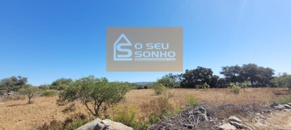 Земельный участок 4980м² в Сан Браш ди Алпортел, Португалия № 215331 5