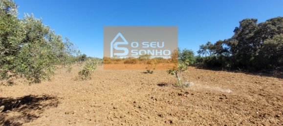 Земельный участок 4980м² в Сан Браш ди Алпортел, Португалия № 215331 3