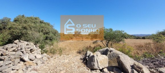 Земельный участок 4980м² в Сан Браш ди Алпортел, Португалия № 215331 10