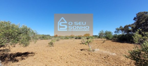 Земельный участок 4980м² в Сан Браш ди Алпортел, Португалия № 215331 12
