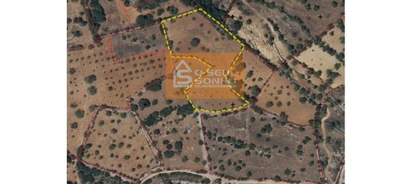 Земельный участок 4980м² в Сан Браш ди Алпортел, Португалия № 215331 11