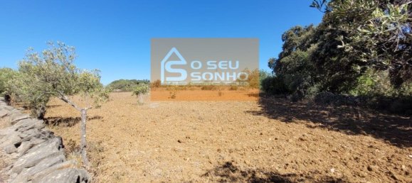 Земельный участок 4980м² в Сан Браш ди Алпортел, Португалия № 215331 8