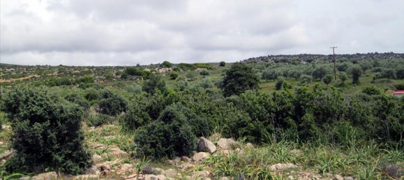 4650m² Hotel in Thasos, Greece No. 7801 3