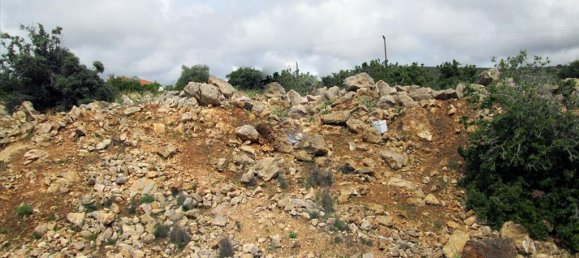 4650m² Hotel in Thasos, Greece No. 7801 5