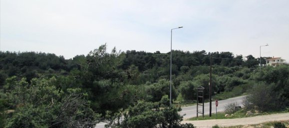 4650m² Hotel in Thasos, Greece No. 7801 2