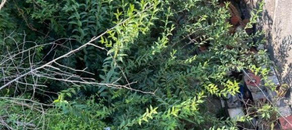 2 Schlafzimmer Stadthaus in Occitanie, France, Nr. 285783 11