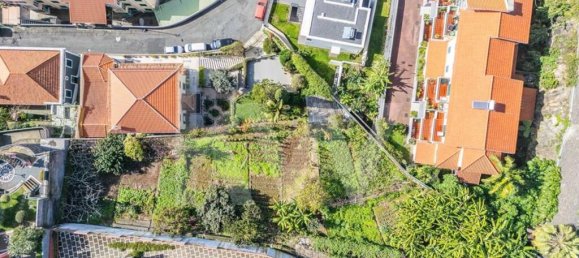 4 Schlafzimmer Haus in Funchal, Portugal, Nr. 135205 4