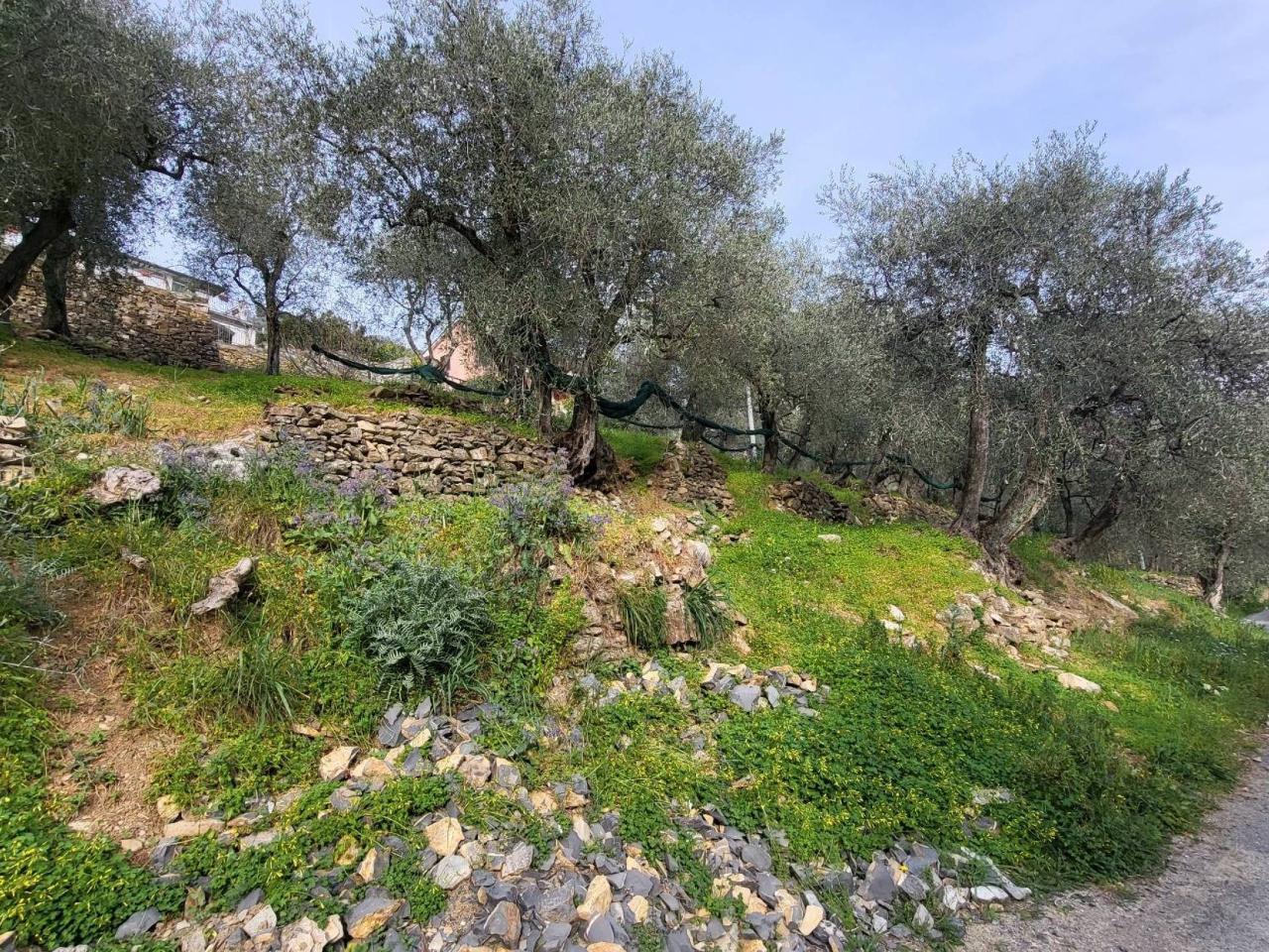 1620m² Land in Villa Faraldi, Italy No. 89802